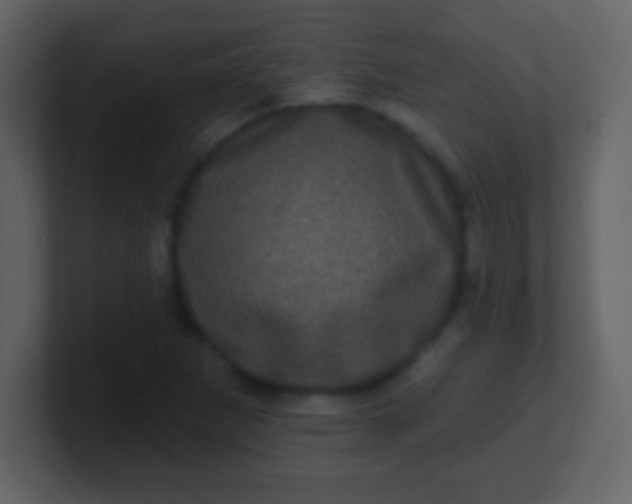 X0000100891265200807081033