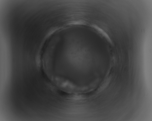 X0000100891266200807081033
