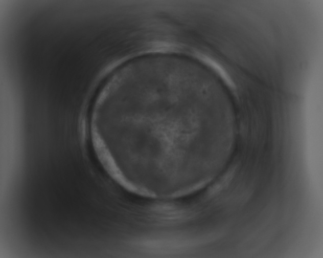 X0000100891267200807081033