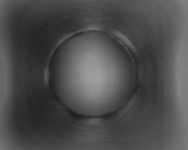 X0000100891268200807081033