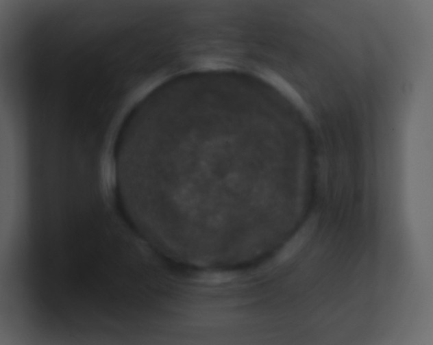 X0000100891269200807081033