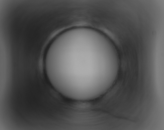 X0000100891270200807081033