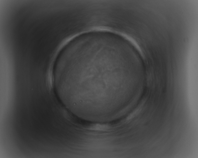 X0000100891271200807081033