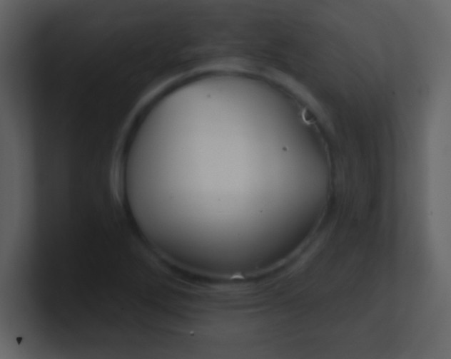 X0000100891272200807081033