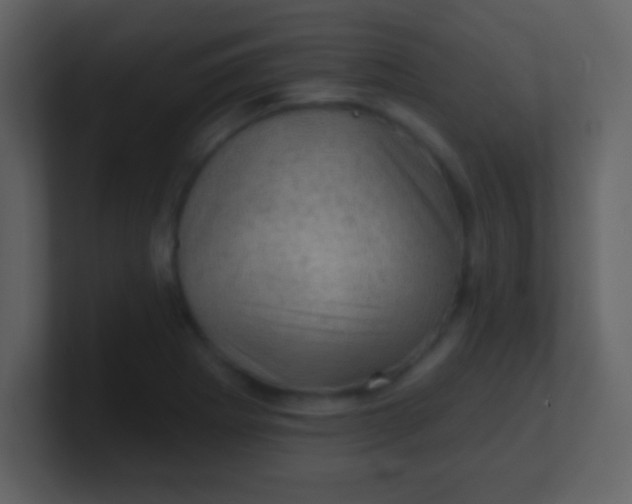 X0000100891273200807081033