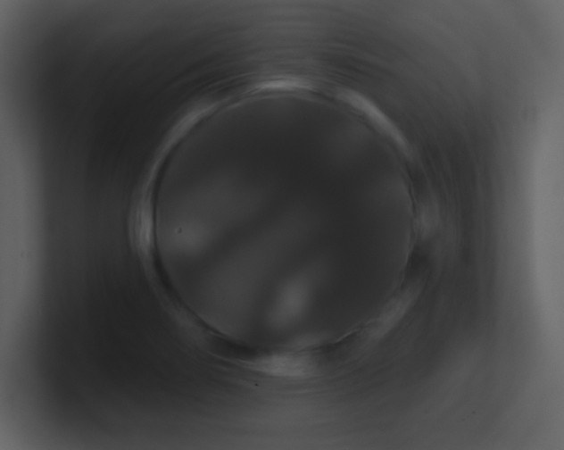 X0000100891274200807081033