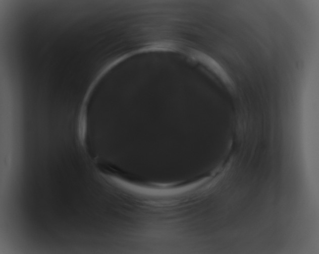X0000100891276200807081033