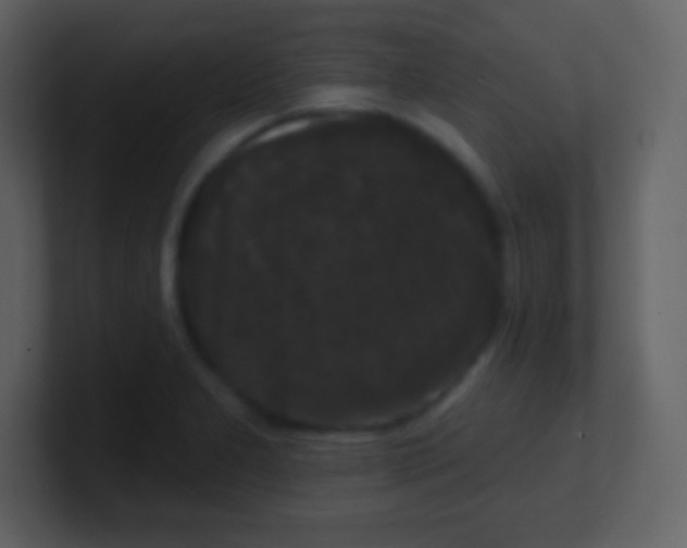 X0000100891277200807081033