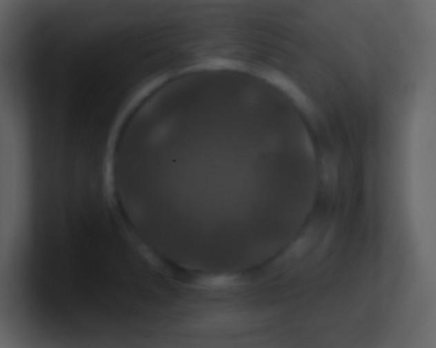X0000100891278200807081033