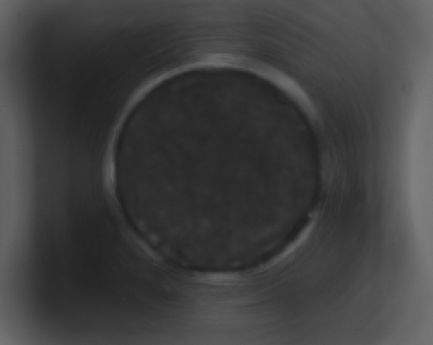 X0000100891280200807081033