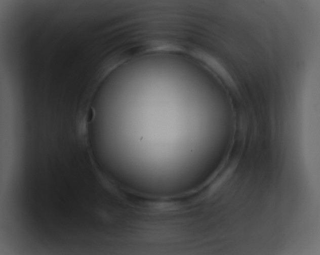 X0000100891281200807081033