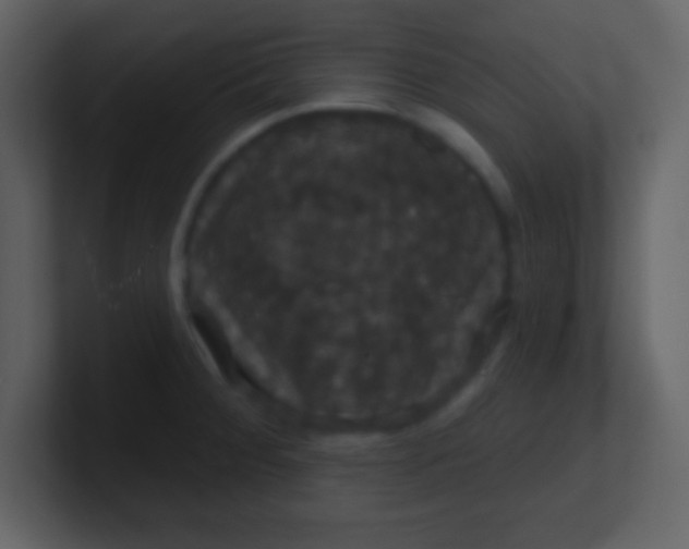 X0000100891284200807081033