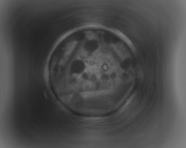 X0000100891287200807081033