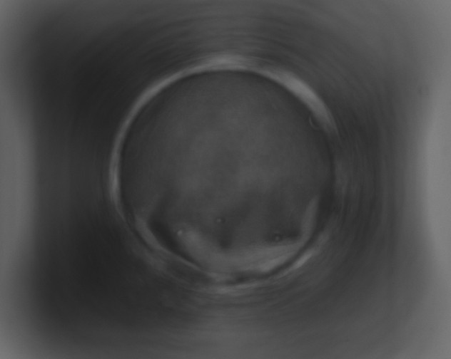 X0000100891288200807081033