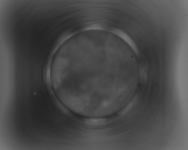 X0000100891290200807081033