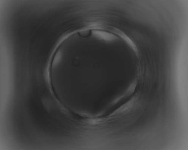 X0000100891291200807081033