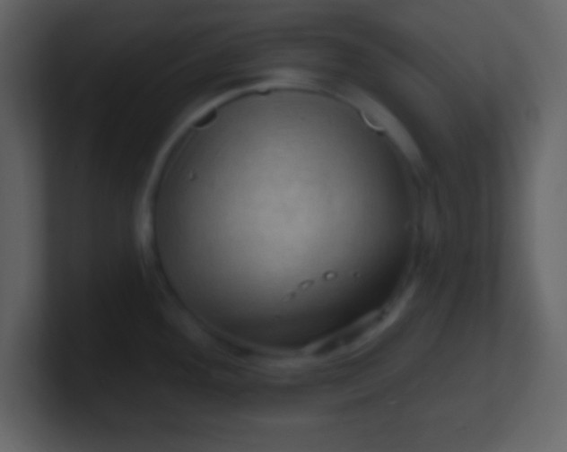 X0000100891292200807081033