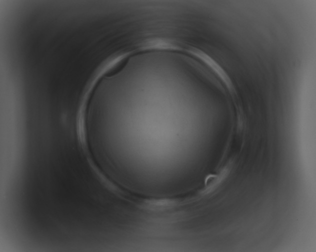 X0000100891293200807081033