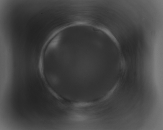X0000100891294200807081033