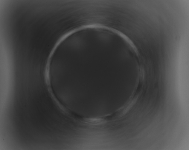 X0000100891295200807081033