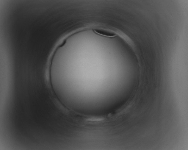 X0000100891296200807081033
