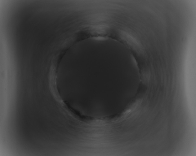 X0000100891297200807081032