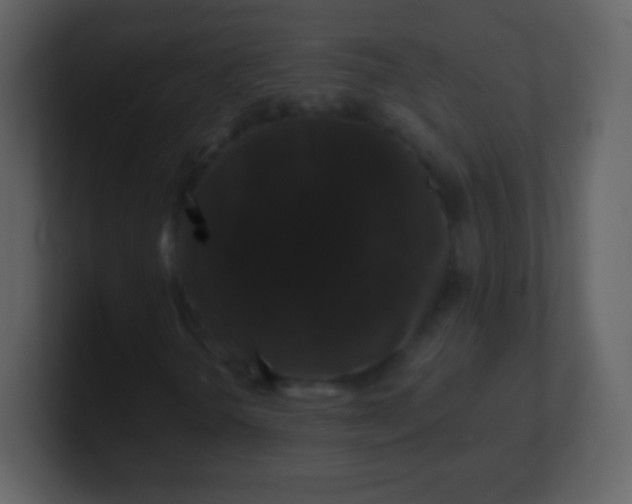 X0000100891298200807081032