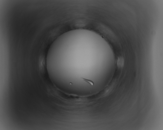 X0000100891299200807081032