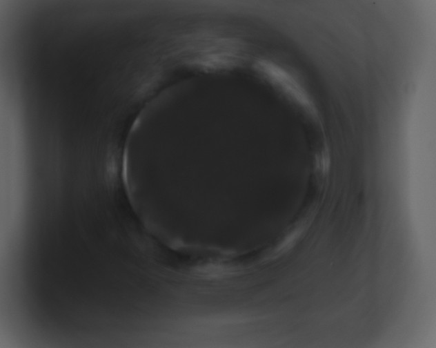 X0000100891300200807081032