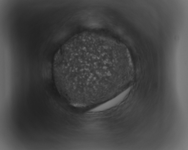X0000100891301200807081032