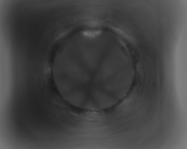 X0000100891302200807081032