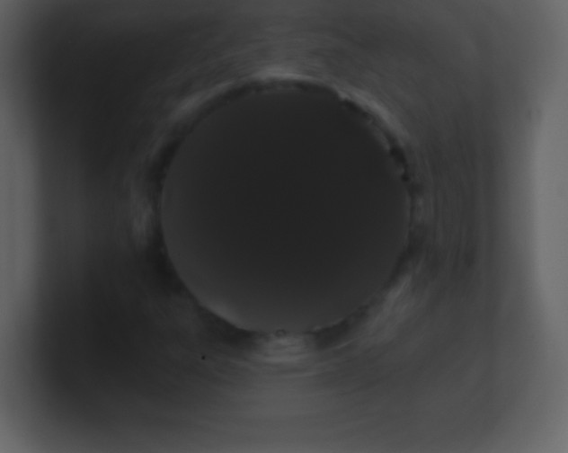 X0000100891303200807081032