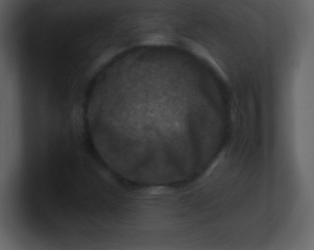 X0000100891304200807081032