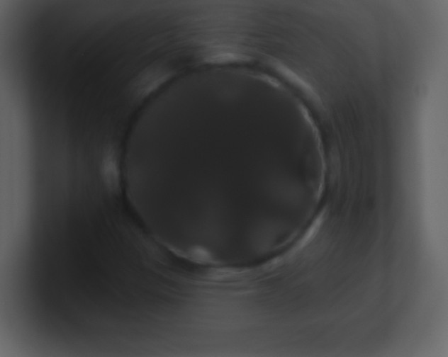X0000100891305200807081032