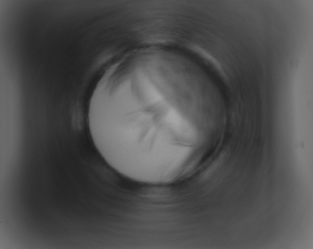 X0000100891306200807081032
