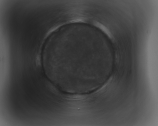 X0000100891308200807081032