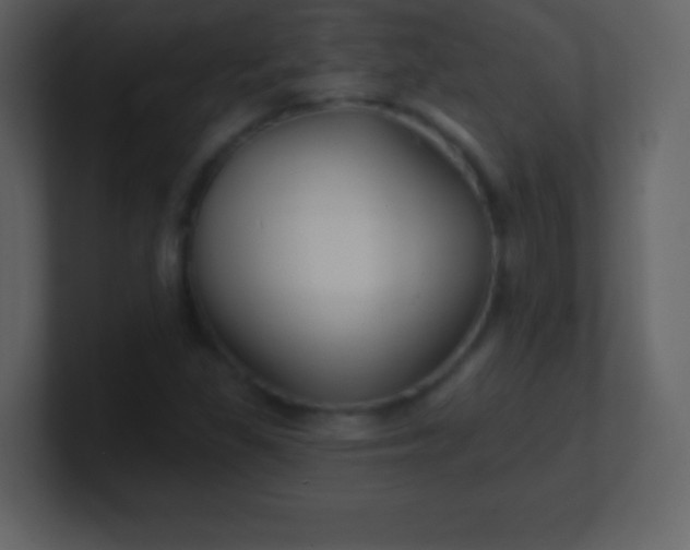 X0000100891309200807081032