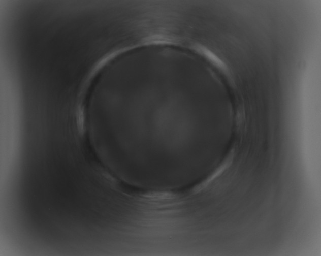 X0000100891310200807081032