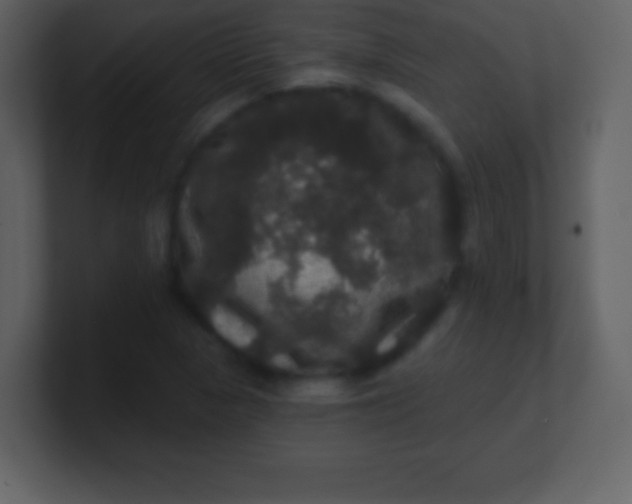 X0000100891313200807081032