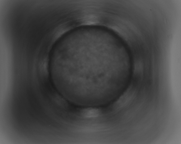 X0000100891314200807081032