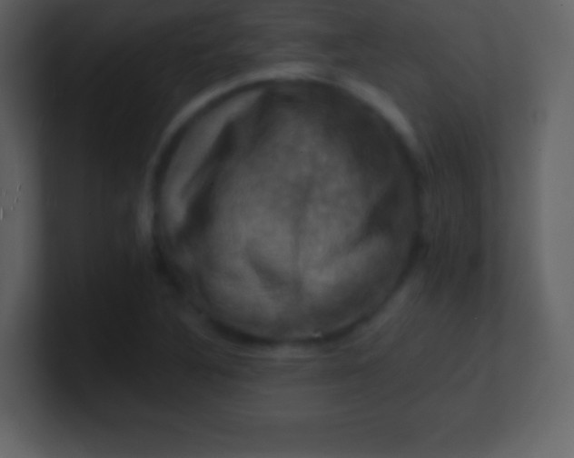 X0000100891316200807081032