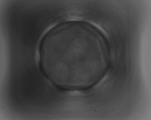 X0000100891317200807081032