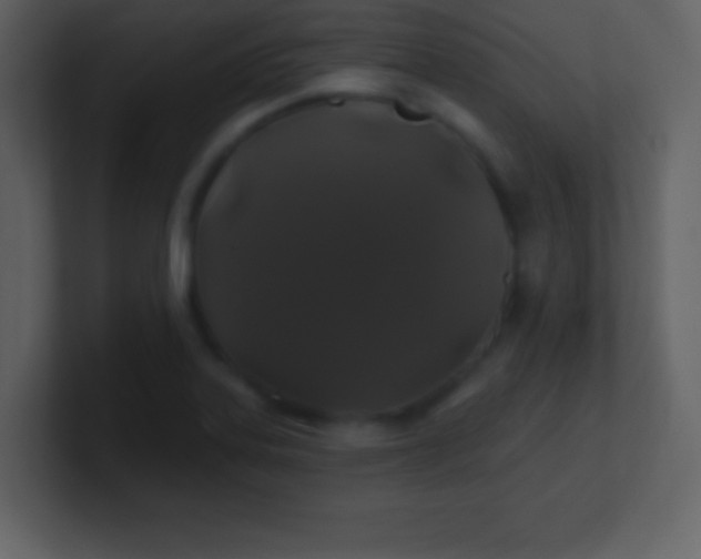 X0000100891323200807081032