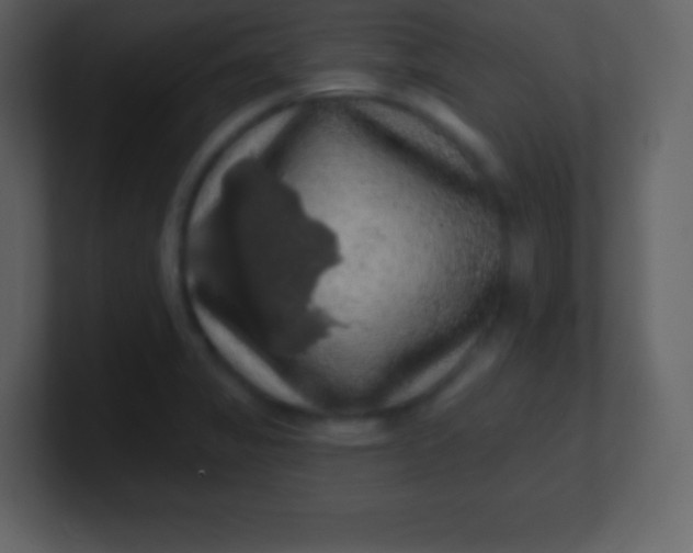 X0000100891325200807081032