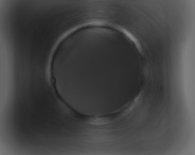 X0000100891327200807081032