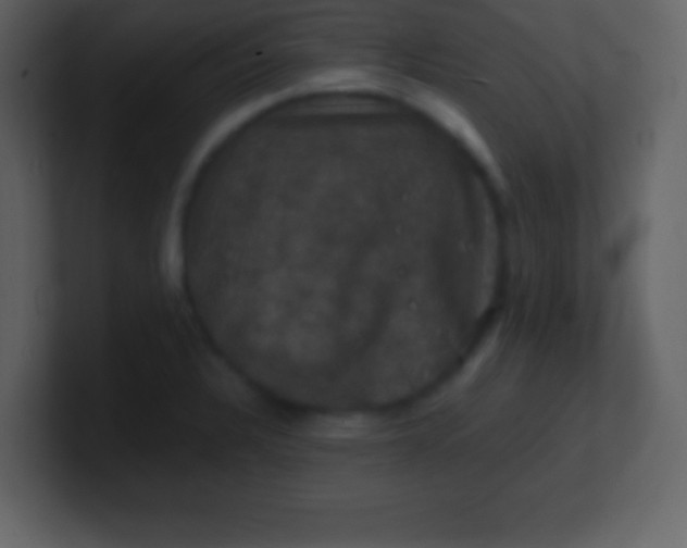 X0000100891328200807081032