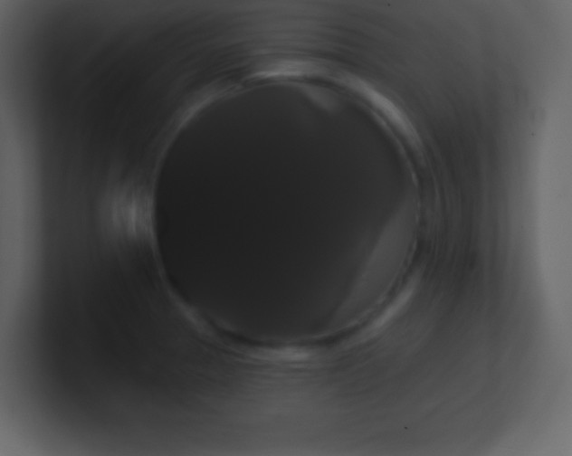 X0000100891329200807081032