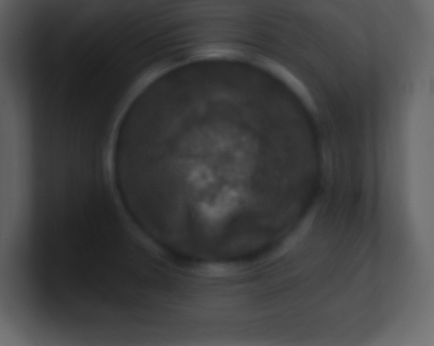 X0000100891330200807081032