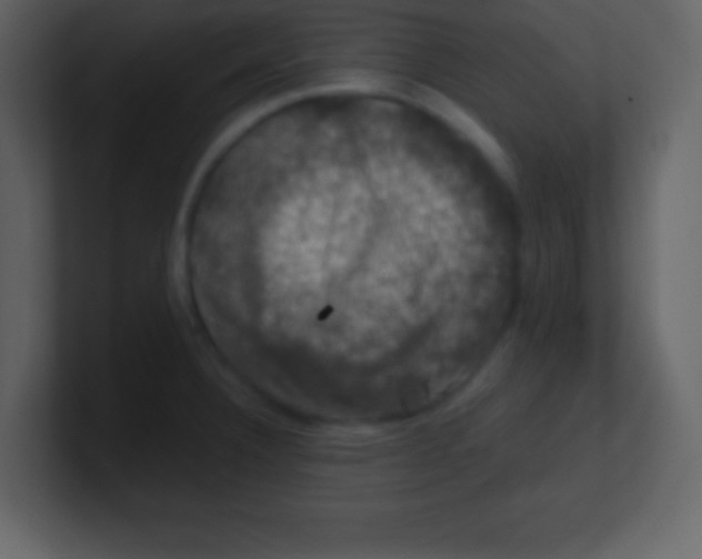 X0000100891332200807081032