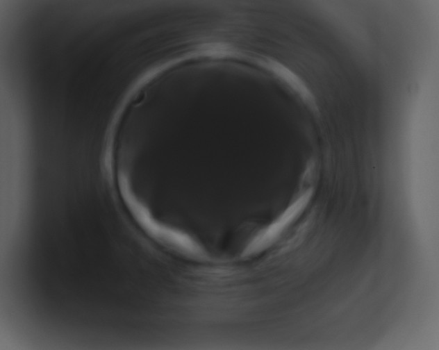 X0000100891334200807081032